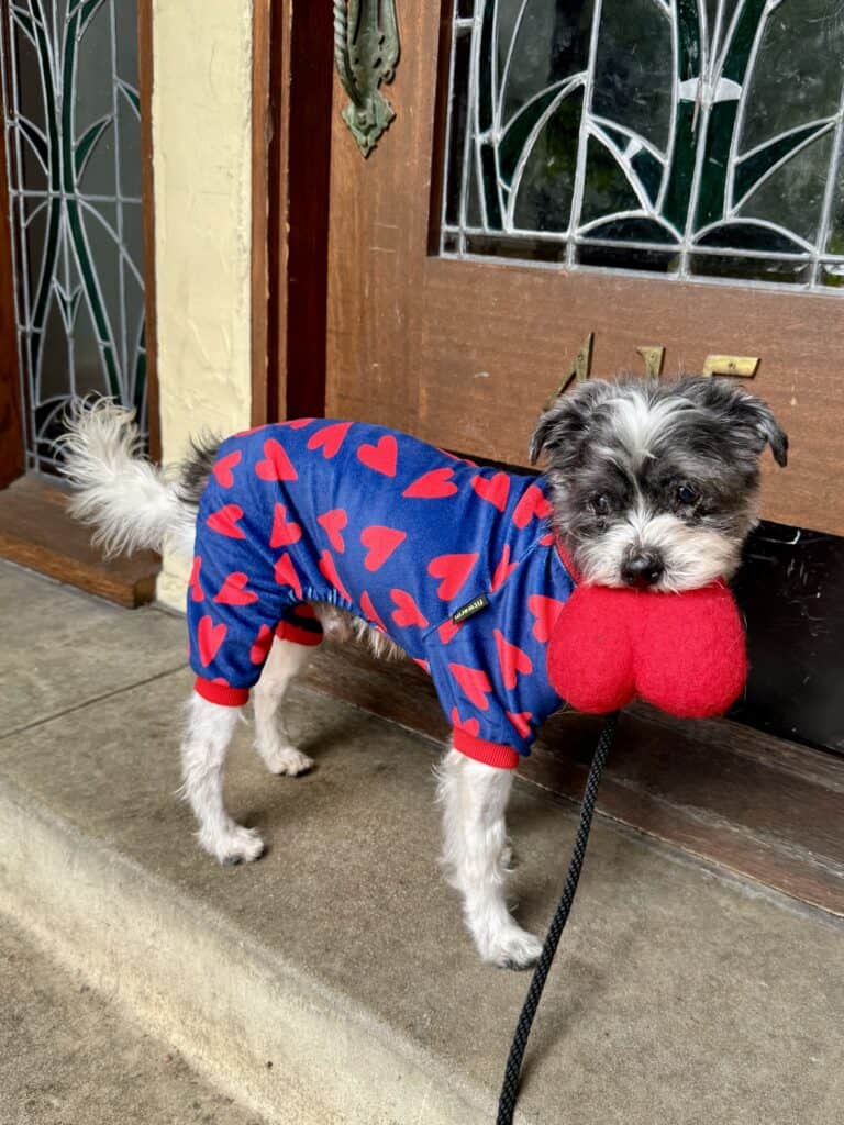 Heart pjs and heart toy